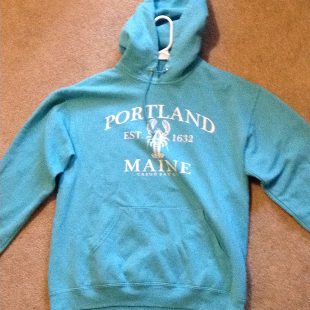 Blue jerzees hoodie